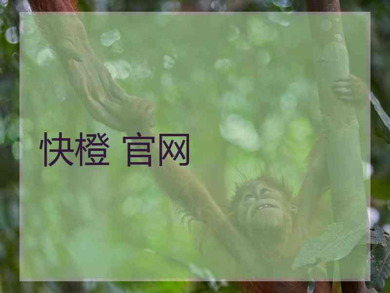 快橙 官网