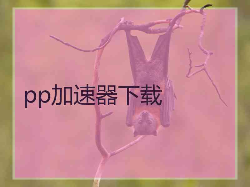 pp加速器下载
