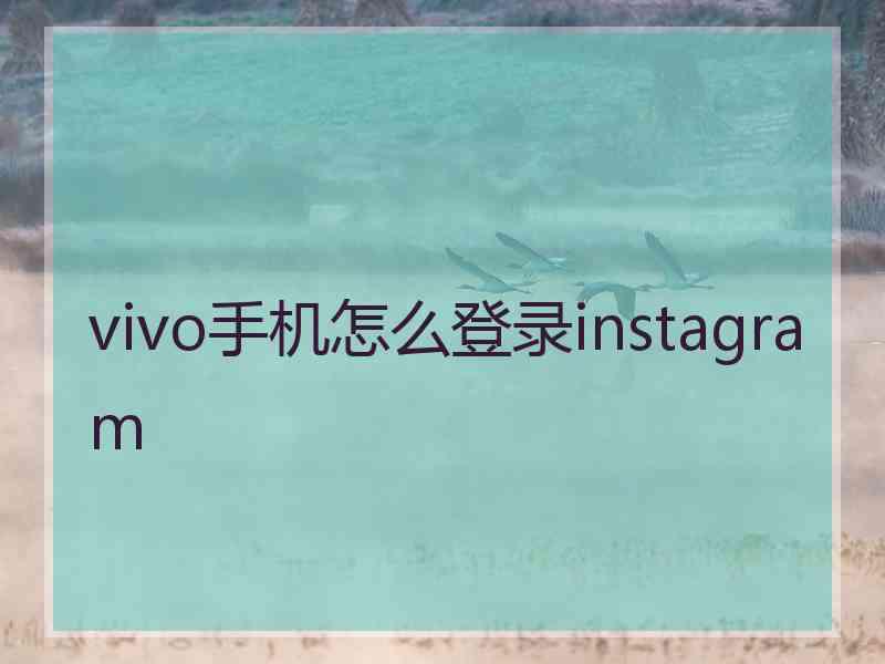 vivo手机怎么登录instagram
