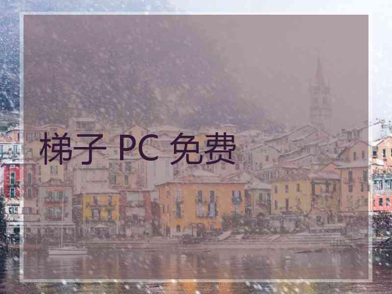 梯子 PC 免费