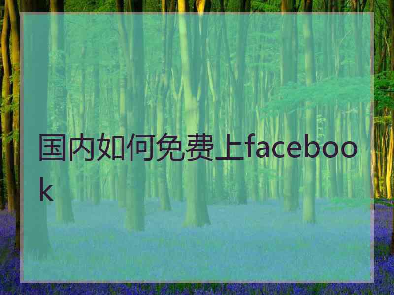 国内如何免费上facebook