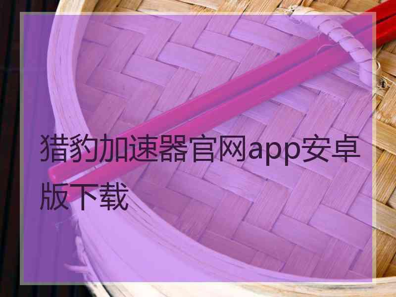 猎豹加速器官网app安卓版下载