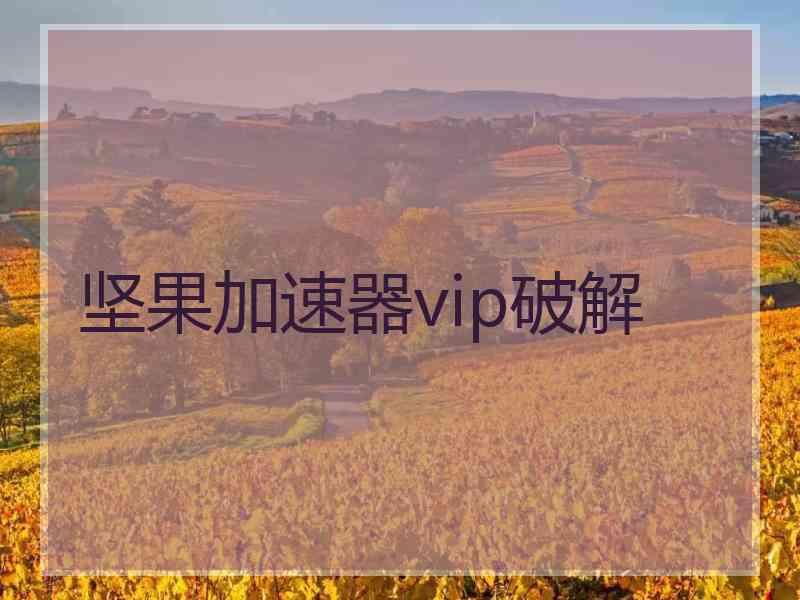 坚果加速器vip破解
