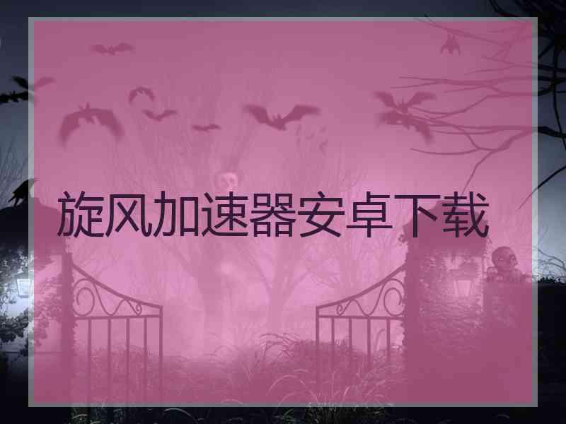 旋风加速器安卓下载