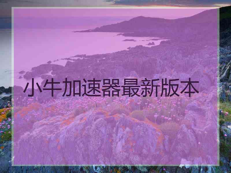 小牛加速器最新版本