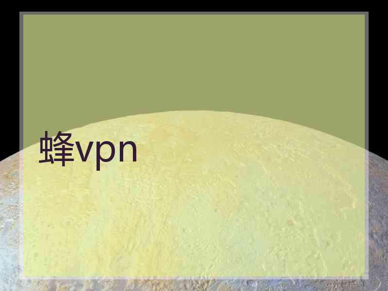 蜂vpn