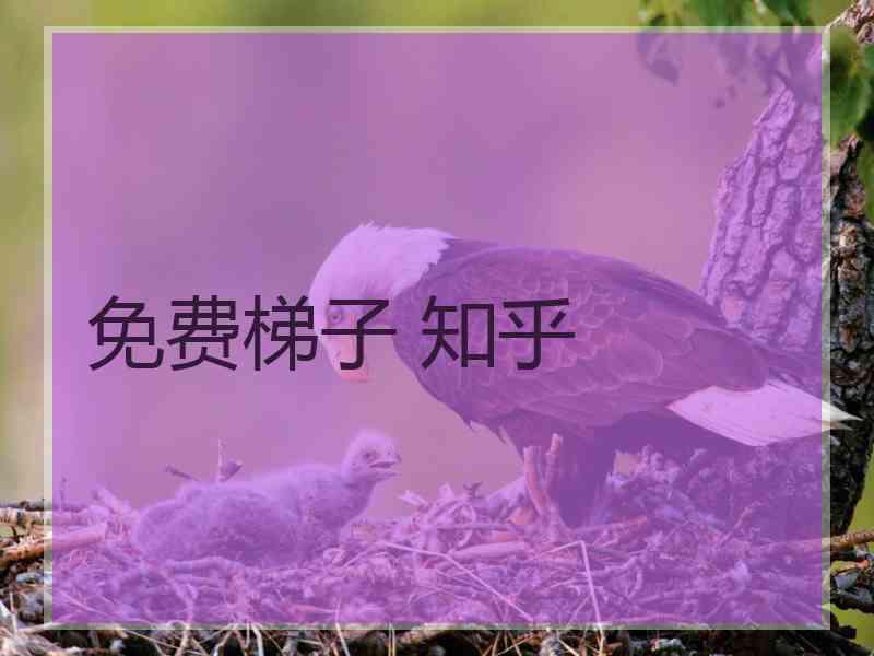 免费梯子 知乎