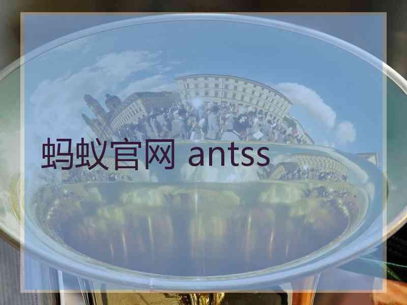 蚂蚁官网 antss