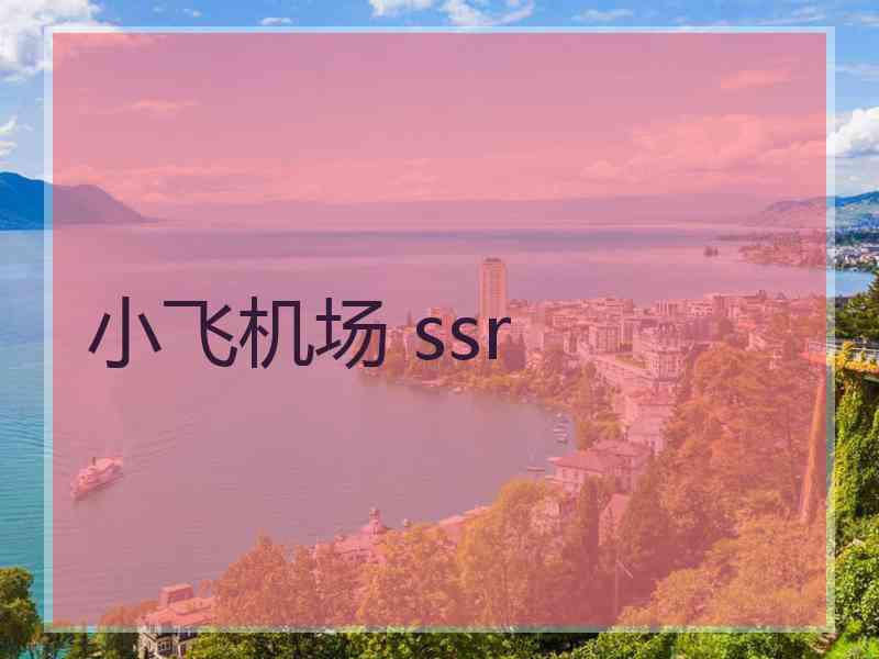 小飞机场 ssr