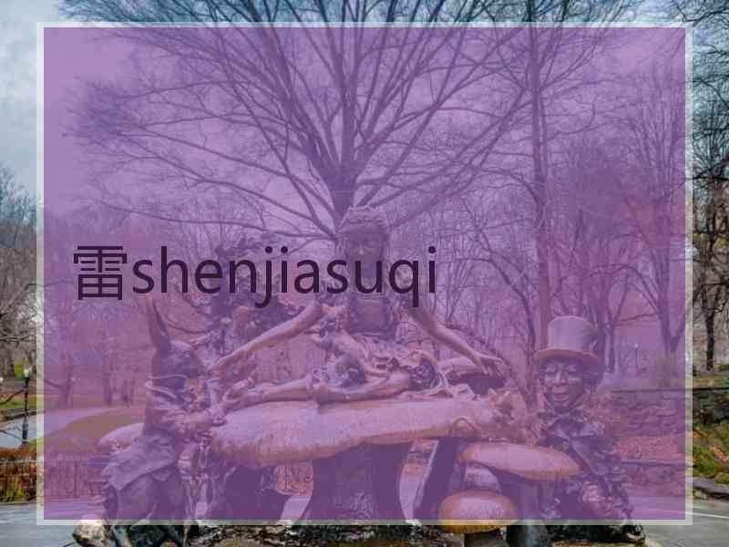 雷shenjiasuqi