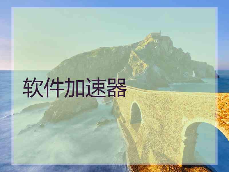 软件加速器