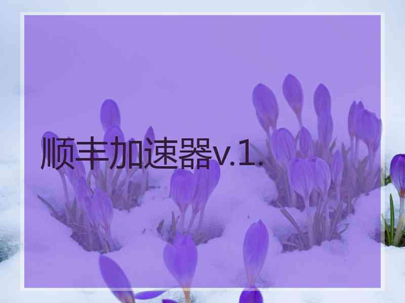 顺丰加速器v.1.