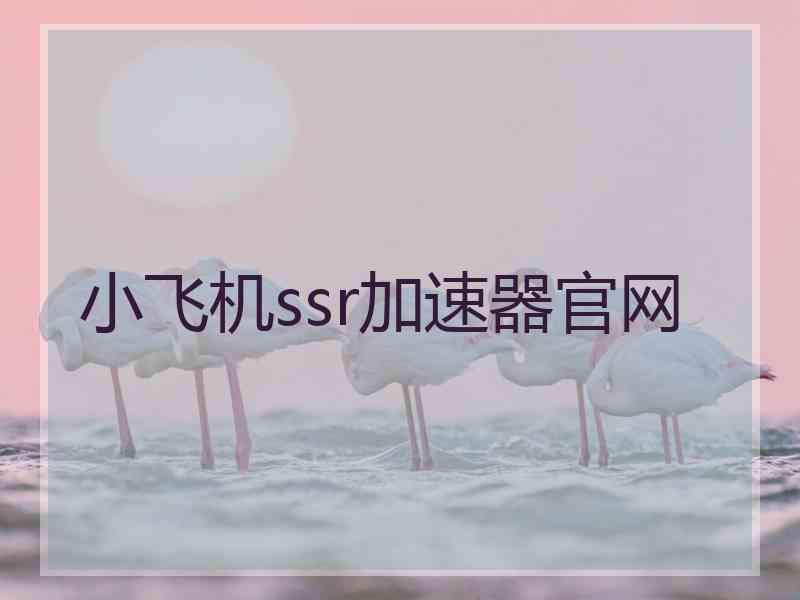 小飞机ssr加速器官网