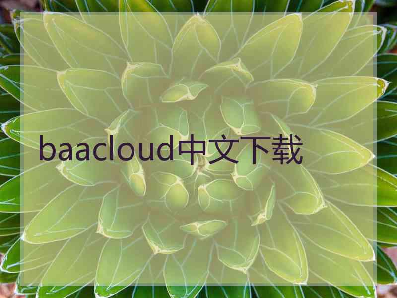 baacloud中文下载