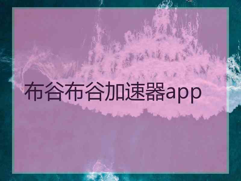 布谷布谷加速器app