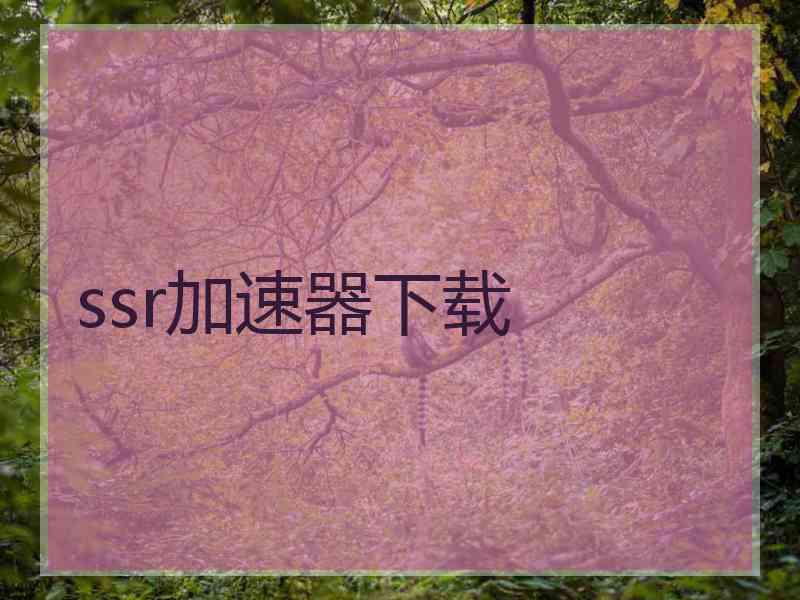 ssr加速器下载
