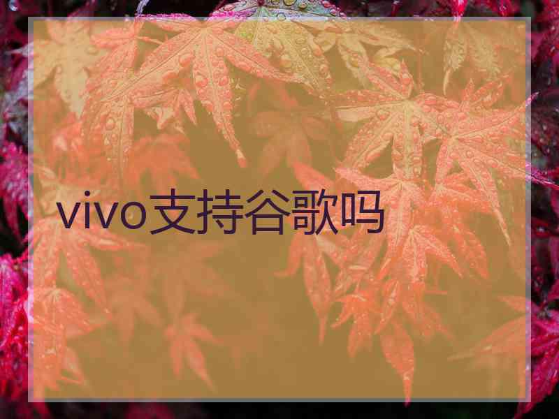 vivo支持谷歌吗