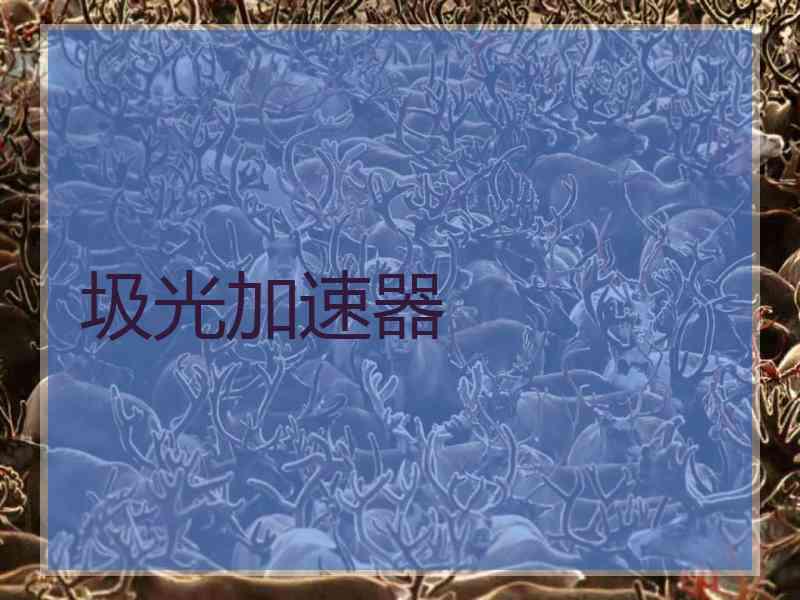 圾光加速器