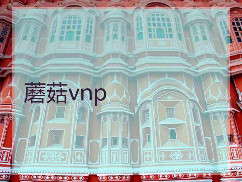 蘑菇vnp