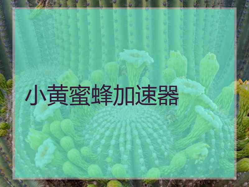 小黄蜜蜂加速器