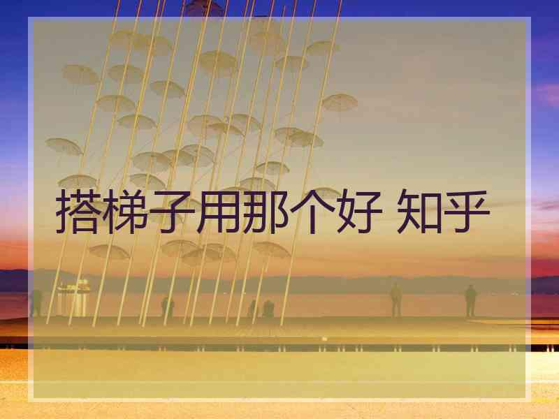 搭梯子用那个好 知乎