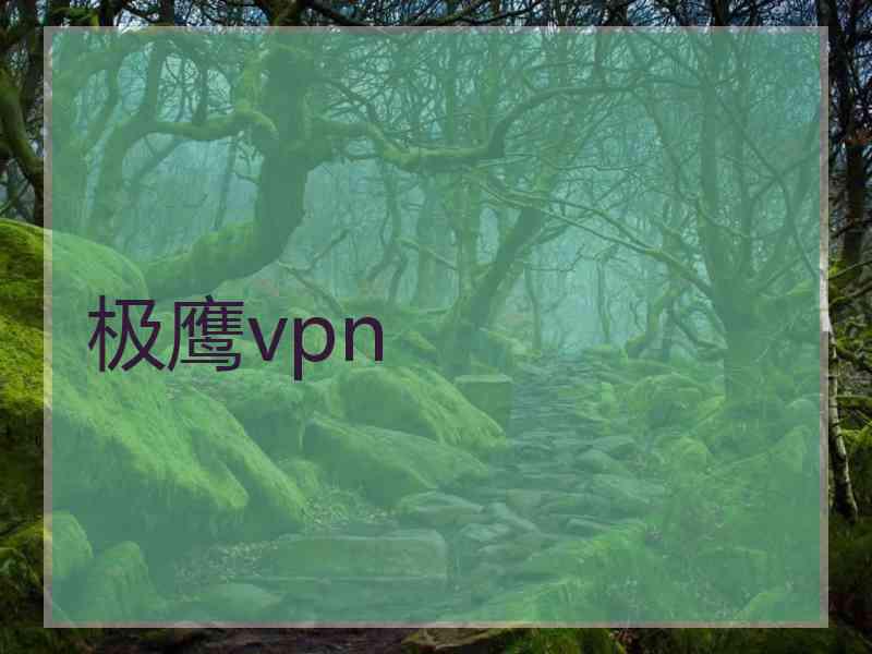 极鹰vpn