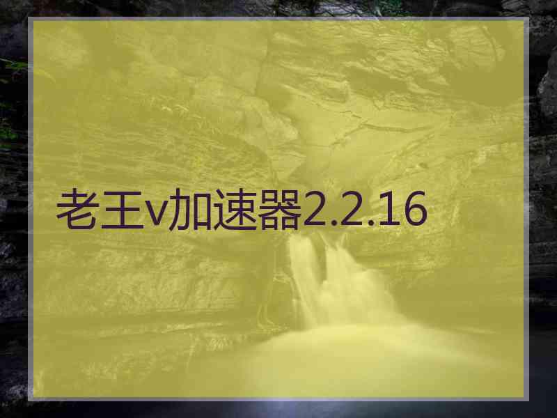 老王v加速器2.2.16