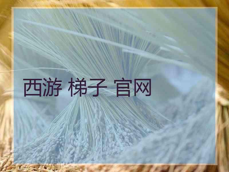 西游 梯子 官网