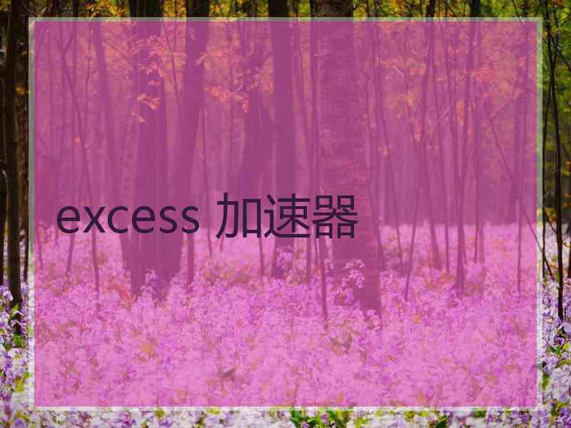 excess 加速器