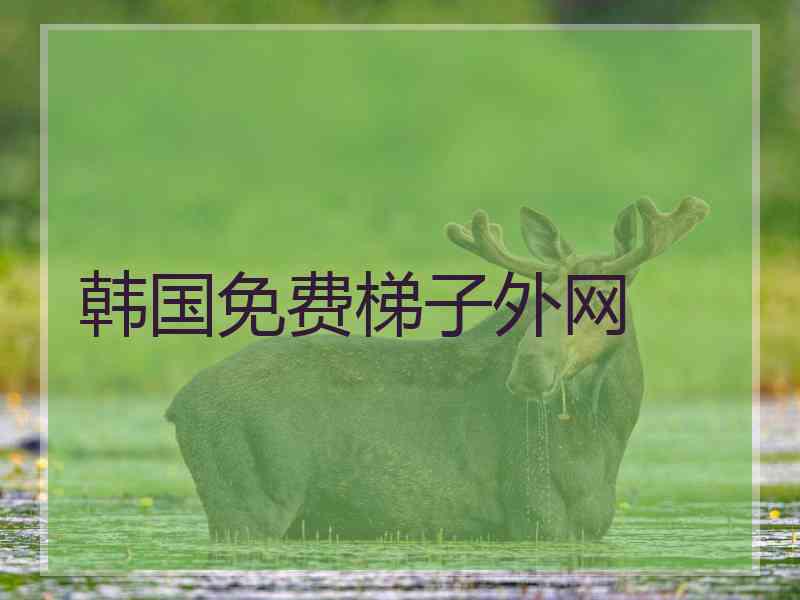 韩国免费梯子外网