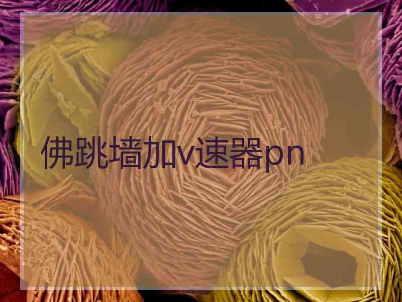 佛跳墙加v速器pn