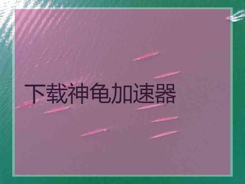 下载神龟加速器