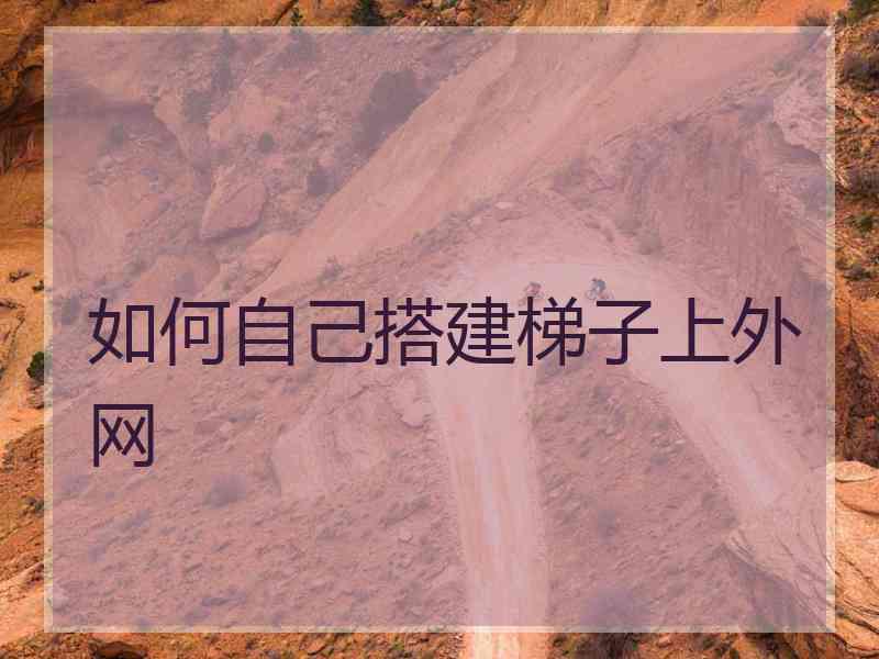 如何自己搭建梯子上外网