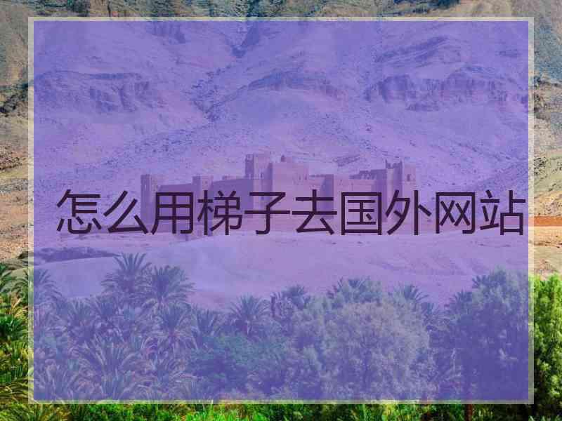 怎么用梯子去国外网站
