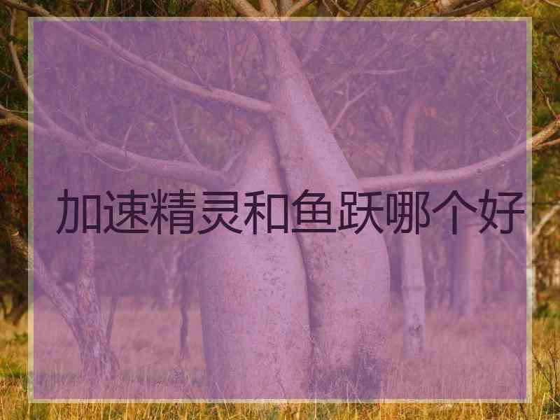 加速精灵和鱼跃哪个好