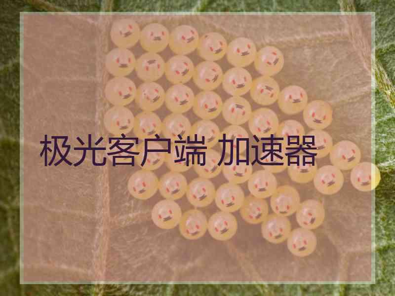 极光客户端 加速器