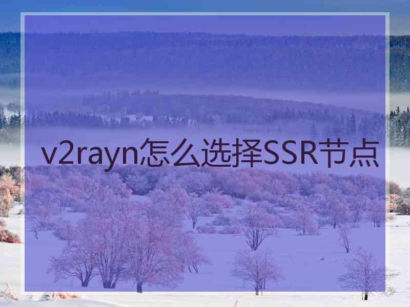 v2rayn怎么选择SSR节点