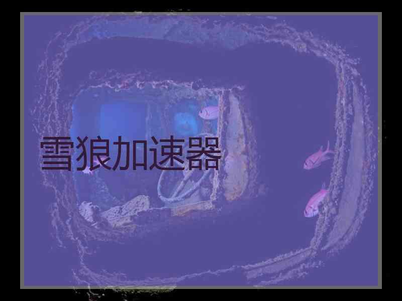 雪狼加速器