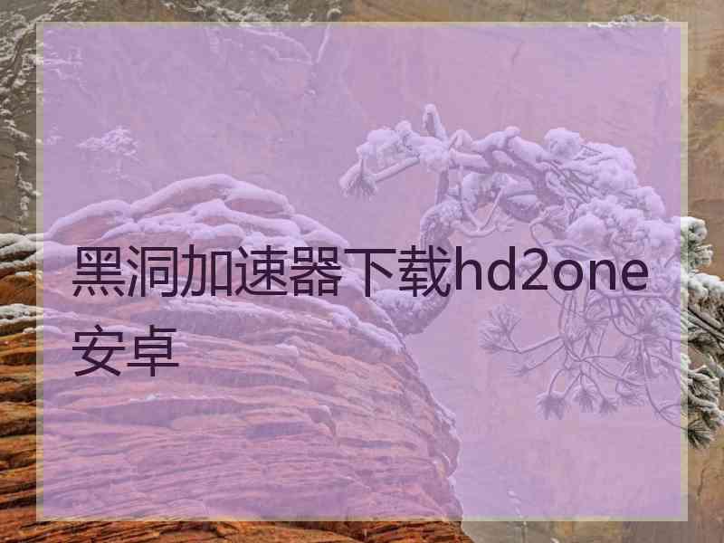 黑洞加速器下载hd2one安卓