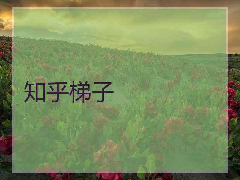 知乎梯子