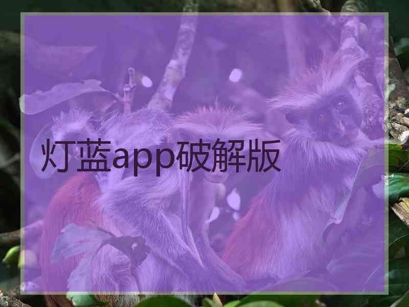 灯蓝app破解版