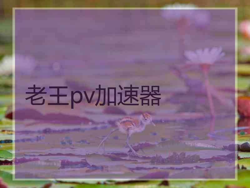 老王pv加速器