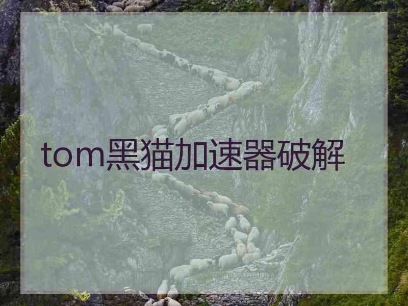 tom黑猫加速器破解