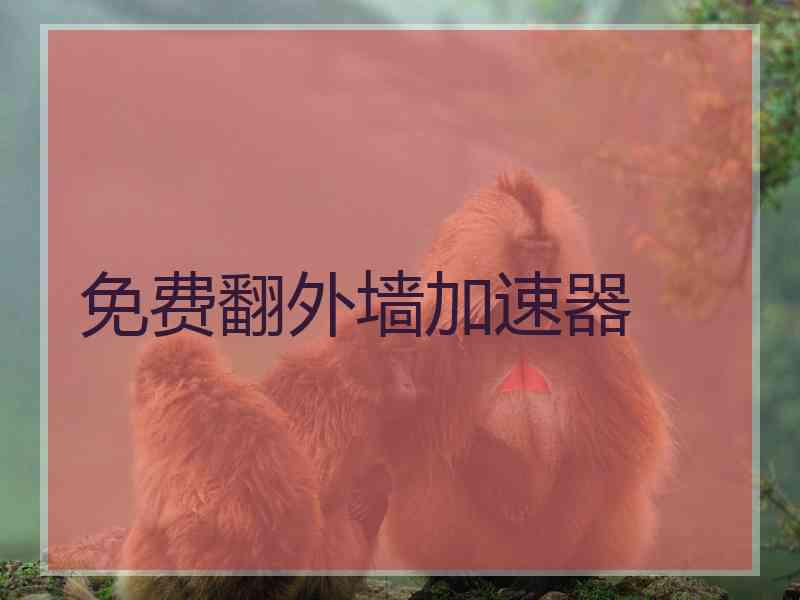 免费翻外墙加速器