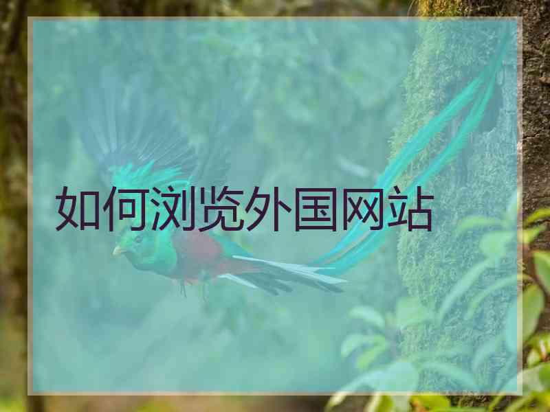 如何浏览外国网站
