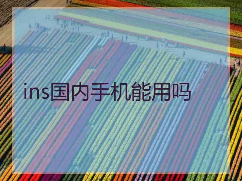 ins国内手机能用吗