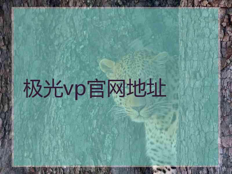 极光vp官网地址