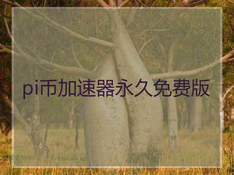 pi币加速器永久免费版