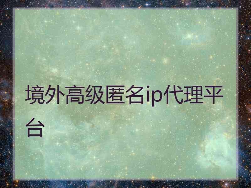 境外高级匿名ip代理平台