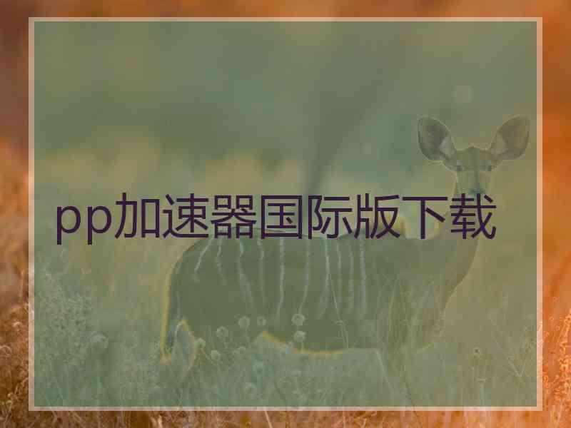 pp加速器国际版下载